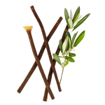 best-olive-miswak-organic-stick