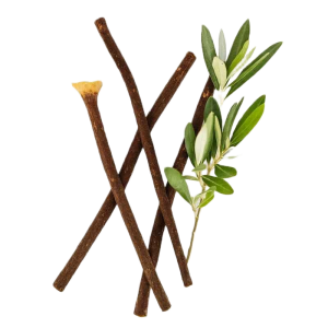 best-olive-miswak-organic-stick